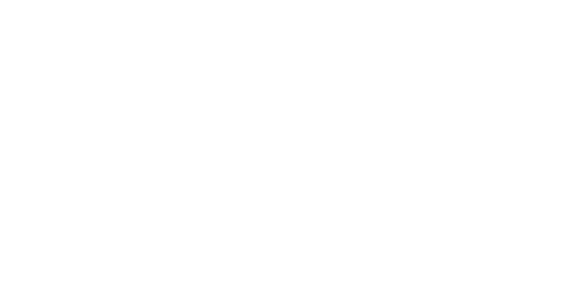 SiEngine